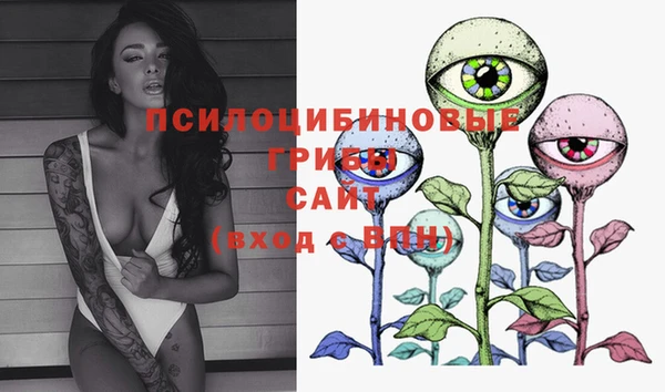 кокс Нея