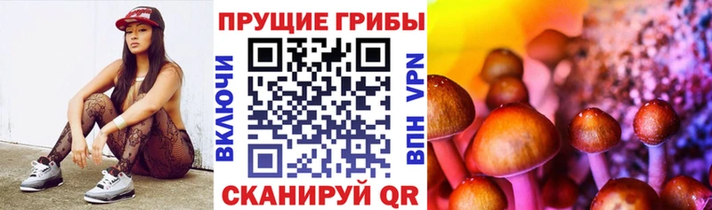 Псилоцибиновые грибы Psilocybine cubensis  блэк спрут рабочий сайт  Шарья 